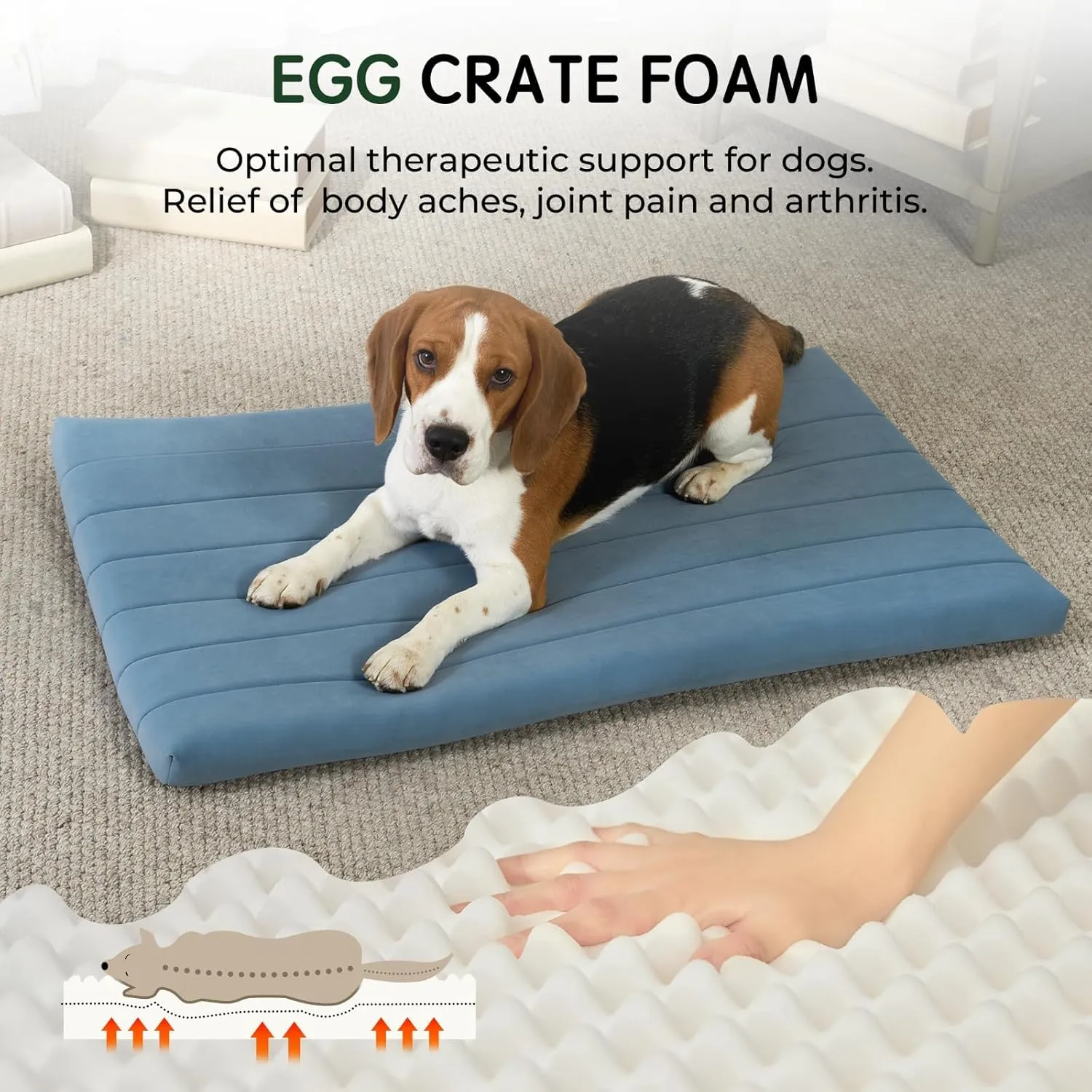 BALANCE Dog Crate Bed, Orthopedic Dog Bed Pad with Waterproof Liner, Washable Crate Foam Pet Mat for Large, Medium, Puppy Dogs Breeds, Powder Blue, 36"x23"x1.6"
