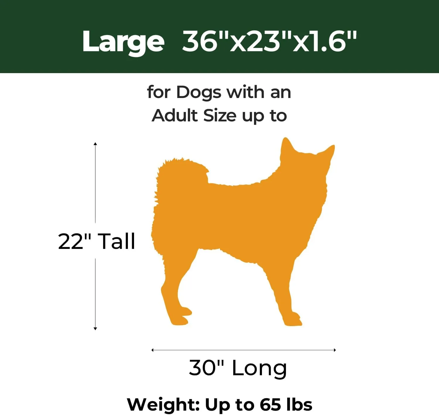 BALANCE Dog Crate Bed, Orthopedic Dog Bed Pad with Waterproof Liner, Washable Crate Foam Pet Mat for Large, Medium, Puppy Dogs Breeds, Powder Blue, 36"x23"x1.6"