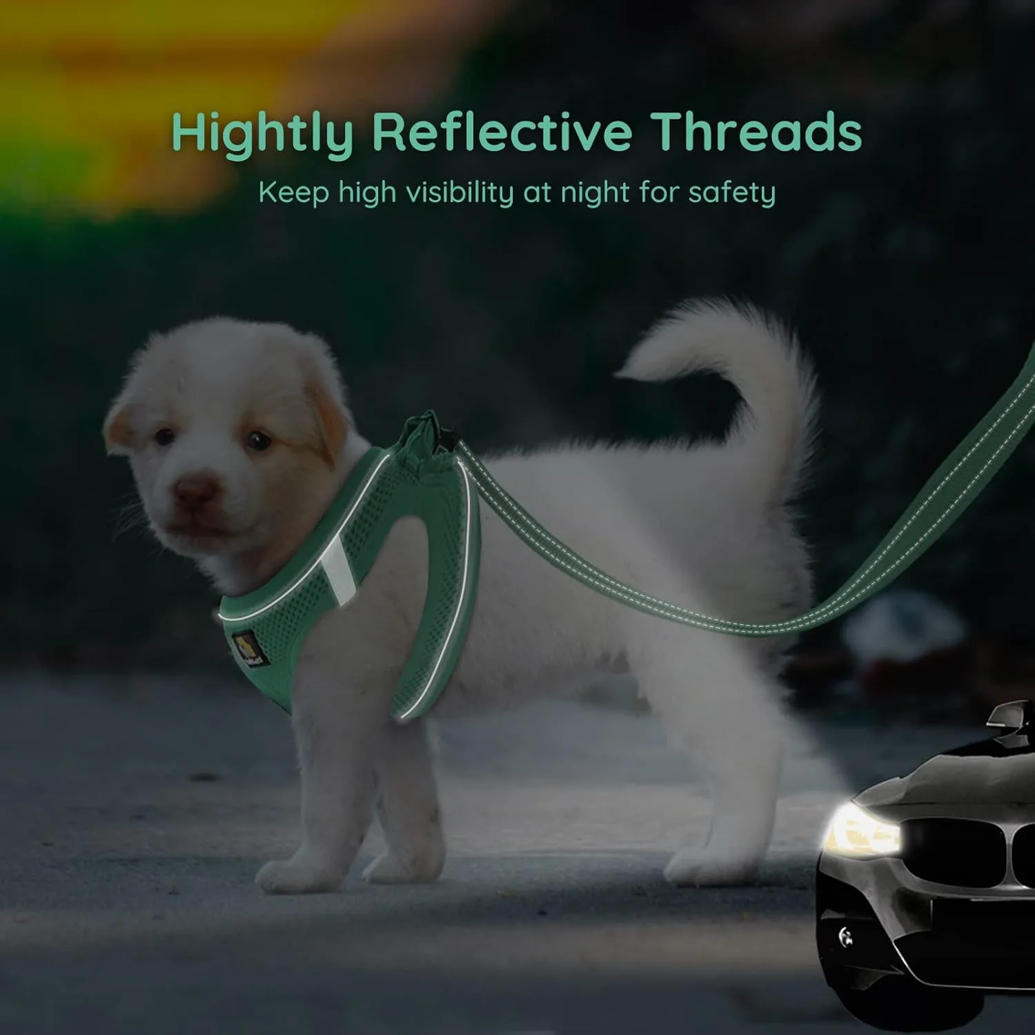 BELLA & PAL Puppy Harness with Leash Set, Dog Harness for Small Dogs No Pull, Dog Leash for Puppy, Step in Harness for Extra Small Dogs, Green Harness, XS