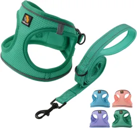 BELLA & PAL Puppy Harness with Leash Set, Dog Harness for Small Dogs No Pull, Dog Leash for Puppy, Step in Harness for Extra Small Dogs, Green Harness, XS