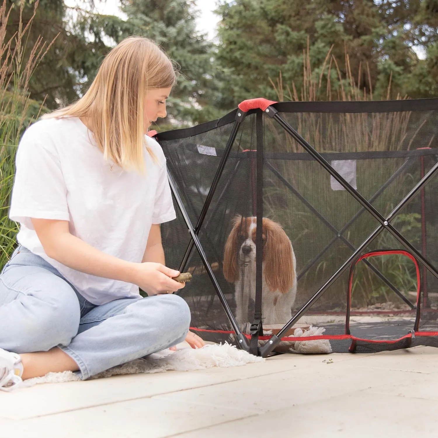 Carlson 6-Panel Foldable and Portable Steel Pet Exercise and Play Pen, Indoor and Outdoor, with Carrying Case, Red