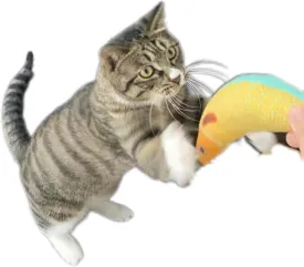 Cat Toys Saury Fish, 3 Pack, Catnip Crinkle Sound, Soft and Durable, Interactive Kitten Kicker for Indoor Kitty Exercise 9.4 Inches for All Breeds