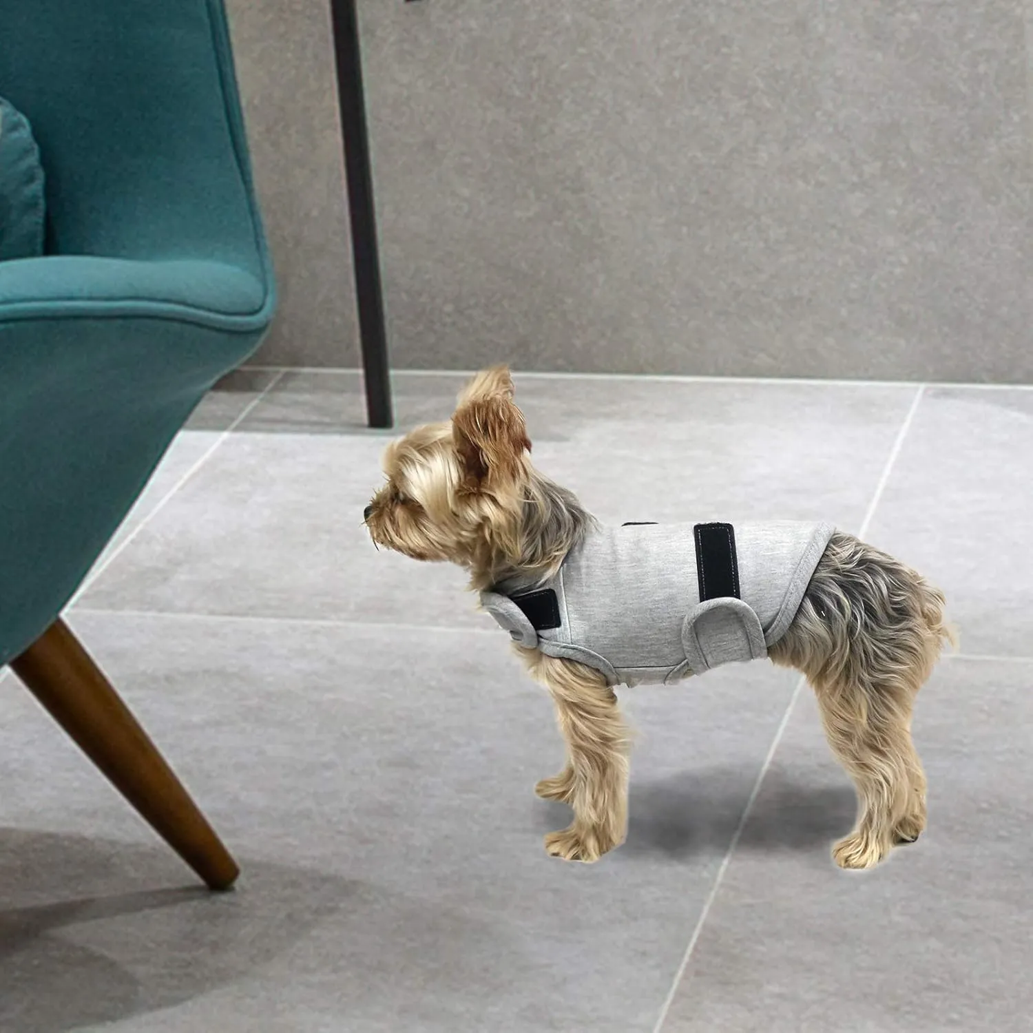 Comfort Dog Anxiety Relief Coat, Dog Anxiety Calming Vest Wrap for Thunderstorm,Travel,4th of July Fireworks,Vet Visits,Separation Anxiety Relief for Dogs (X-Small (Pack of 1), Light Gray)