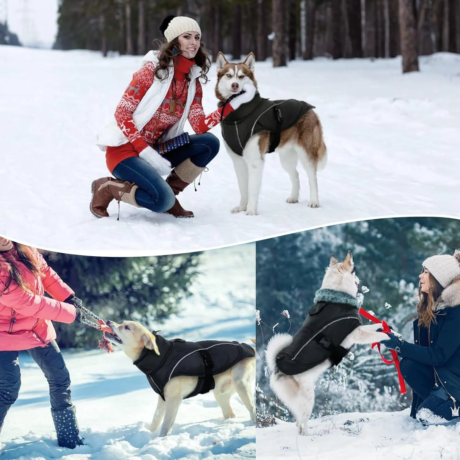 DENTRUN Dog Winter Warm Coat - Windproof Cozy Dog Jacket, Thick Fleece Vest, Water Repellent, Reflective, Small to Large Sizes