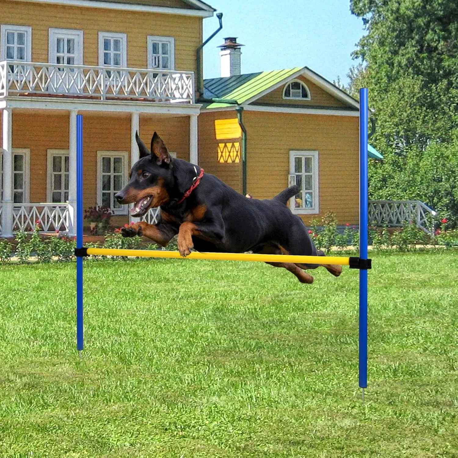 Dog Agility Training Equipment for Dog Obstacle Course Backyard Height Adjustable Jumper Hurdle Bar Portable Dogs Park Exercise Tool
