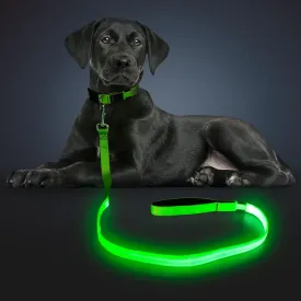 LED Light Up Dog Leash 3 Lighting Modes USB Rechargeable, High Visibility Up to 400 Yards Safety Glow in The Dark Dog Leash for Large Medium Small Pets