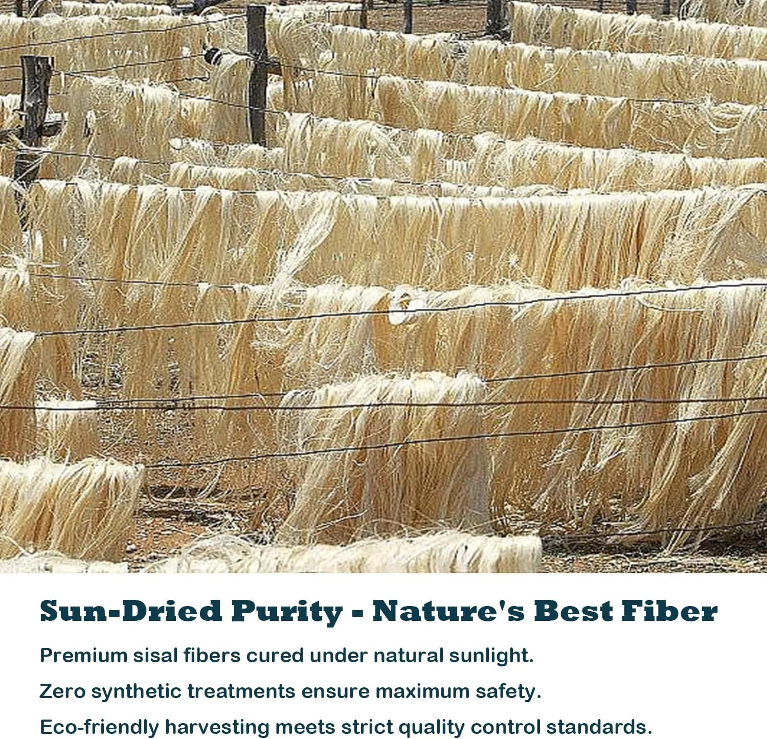 Natural Sisal White Rope for Cat Scratcher Scratching Post Replacement 1/4 inch Cat Tree Sisal Rope for Repairing, Recovering or DIY Cat Scratcher 50/100 / 164 Feet