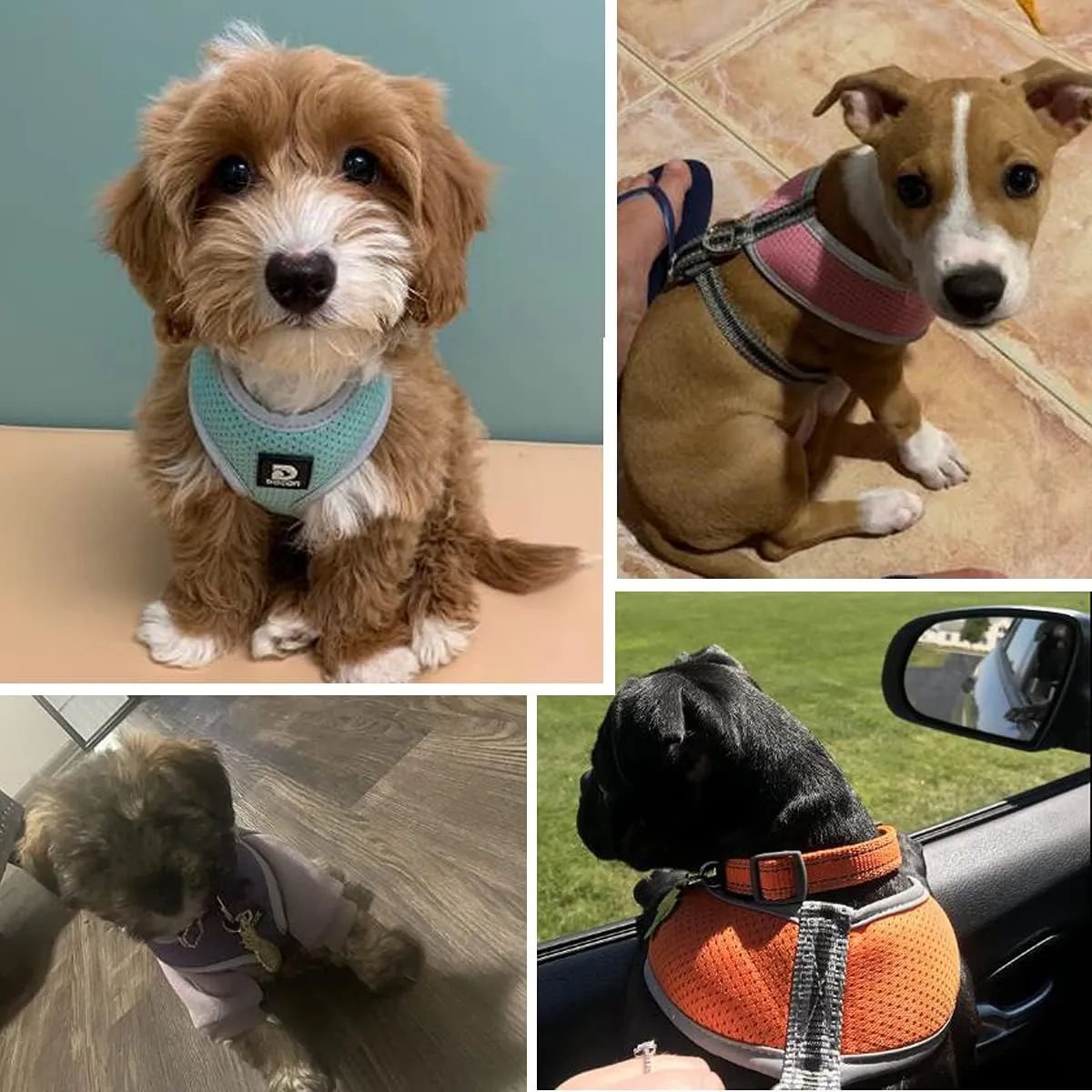 Puppy Harness and Leash Set - Dog Vest Harness for Small Dogs Medium Dogs- Adjustable Reflective Step in Harness for Dogs - Soft Mesh Comfort Fit No Pull No Choke (M, Red)