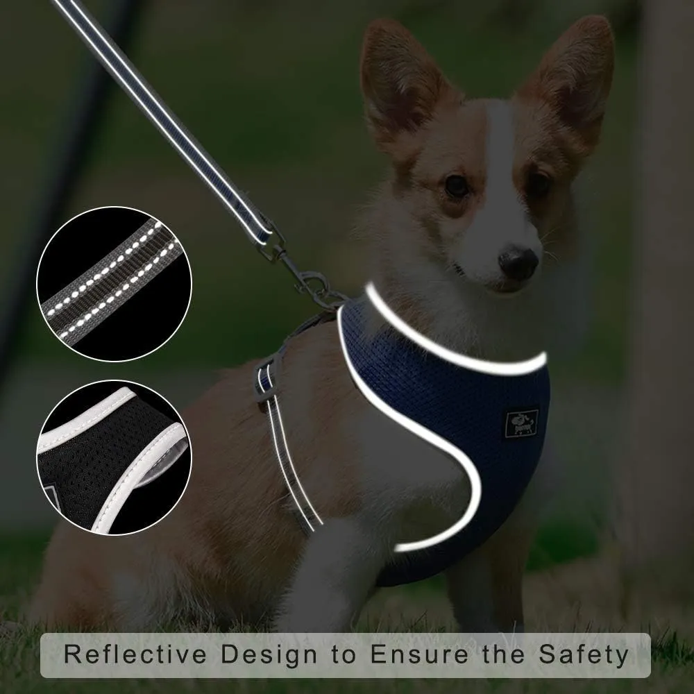Puppy Harness and Leash Set - Dog Vest Harness for Small Dogs Medium Dogs- Adjustable Reflective Step in Harness for Dogs - Soft Mesh Comfort Fit No Pull No Choke (M, Red)
