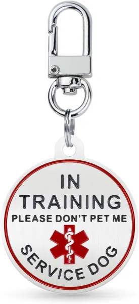 Service Dog ID Tag for Small & Large Dogs - Emotional Support ESA Medical Alert Collar Accessory - Durable Stainless Steel Service Animal Tag - in Traning Service Tag in Silver Large