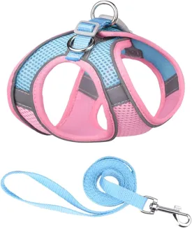 Step-in Pet Harness with a Free 59 inch Leash Included - Breathable Air Mesh for Dogs & Cats, with Reflective Straps, Safe Vest Built with Buckle & Double Metal Rings, Blue & Pink, L