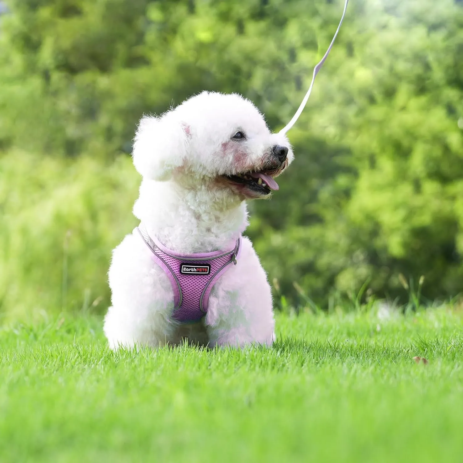 Step-in Pet Harness with a Free 59 inch Leash Included - Breathable Air Mesh for Dogs & Cats, with Reflective Straps, Safe Vest Built with Buckle & Double Metal Rings, Blue & Pink, L
