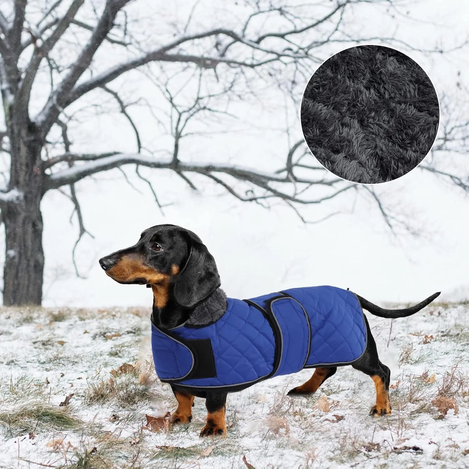 Warm Thermal Quilted Dachshund Coat, Dog Winter Coat with Warm Fleece Lining, Outdoor Dog Apparel with Adjustable Bands for Medium, Large Dog-Blue-M